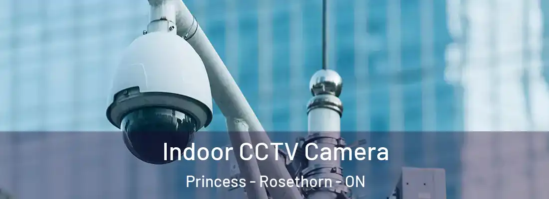  Indoor CCTV Camera Princess - Rosethorn - ON