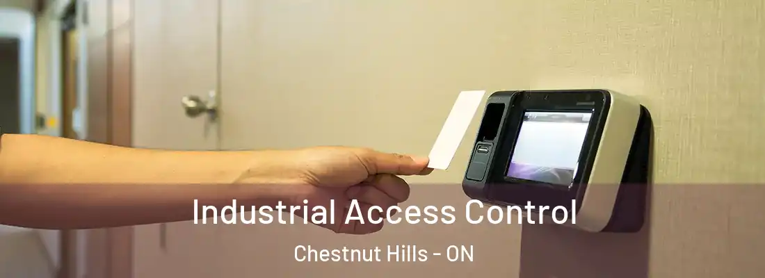  Industrial Access Control Chestnut Hills - ON