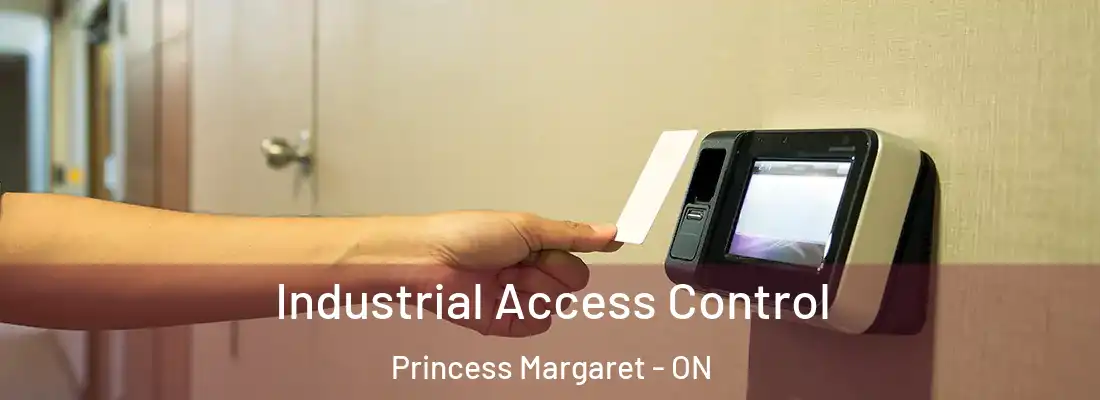  Industrial Access Control Princess Margaret - ON