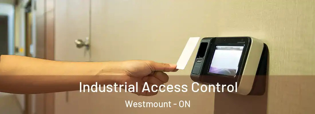  Industrial Access Control Westmount - ON