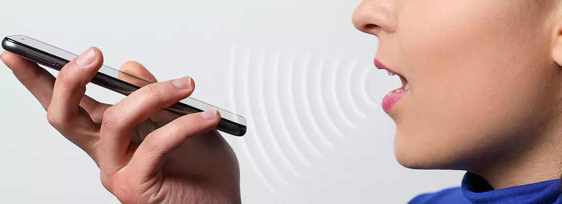 Residential and Commercial Voice Recognition Access Solutions in Thorncrest Village, ON
