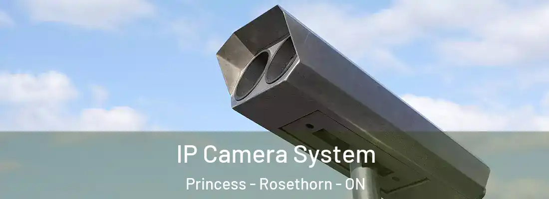  IP Camera System Princess - Rosethorn - ON