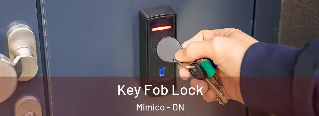  Key Fob Lock Mimico - ON