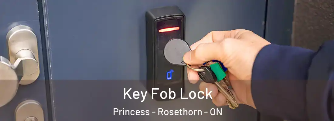  Key Fob Lock Princess - Rosethorn - ON