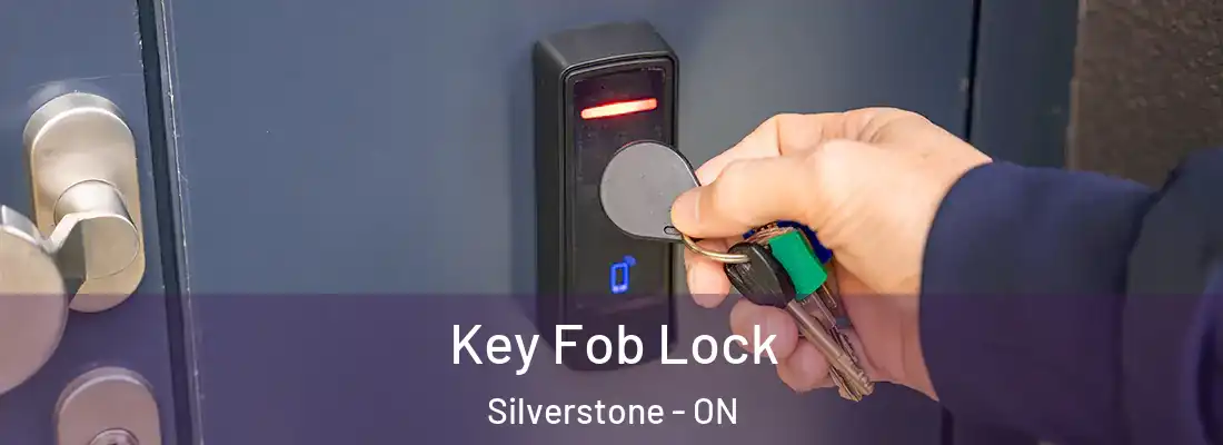  Key Fob Lock Silverstone - ON