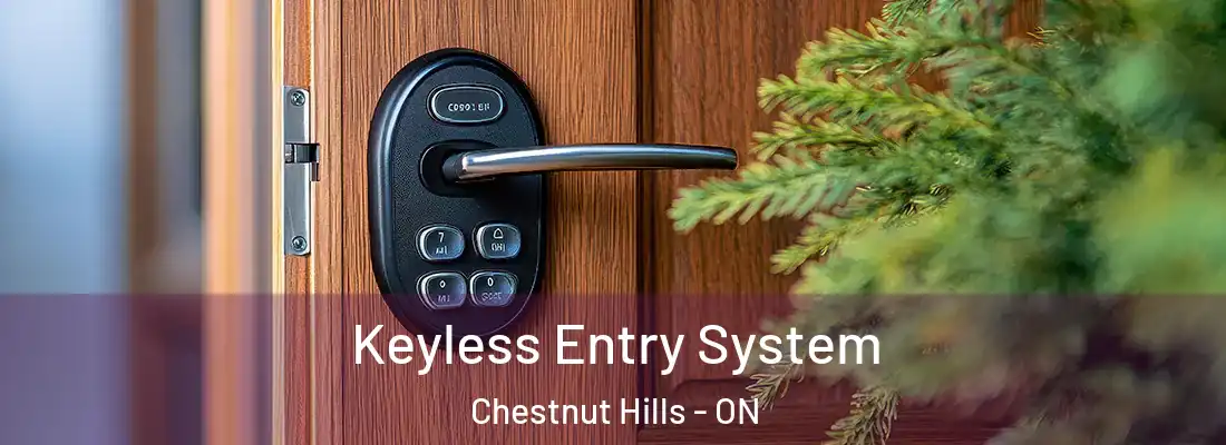  Keyless Entry System Chestnut Hills - ON