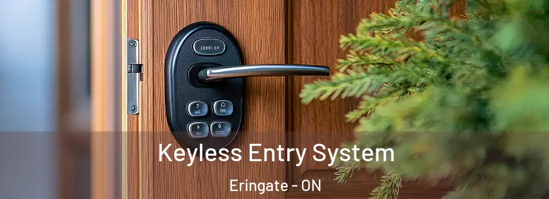  Keyless Entry System Eringate - ON