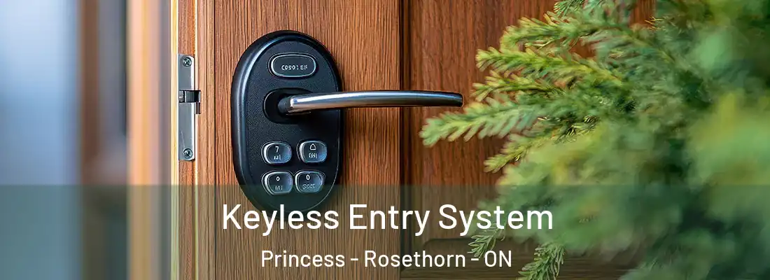  Keyless Entry System Princess - Rosethorn - ON