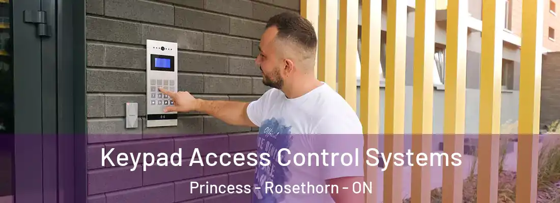  Keypad Access Control Systems Princess - Rosethorn - ON