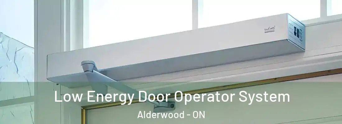  Low Energy Door Operator System Alderwood - ON