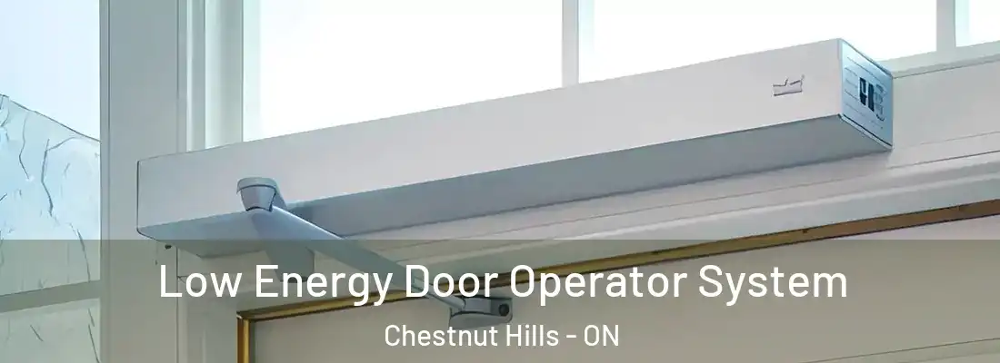  Low Energy Door Operator System Chestnut Hills - ON