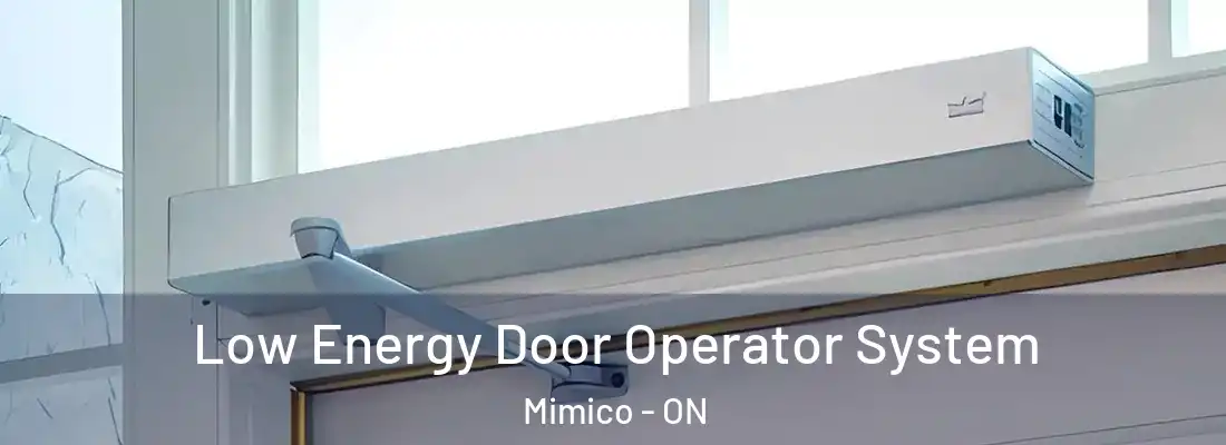  Low Energy Door Operator System Mimico - ON