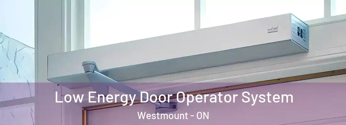  Low Energy Door Operator System Westmount - ON