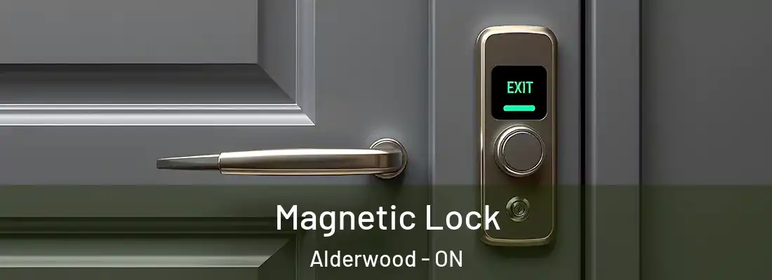  Magnetic Lock Alderwood - ON