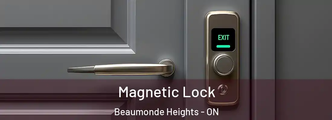  Magnetic Lock Beaumonde Heights - ON