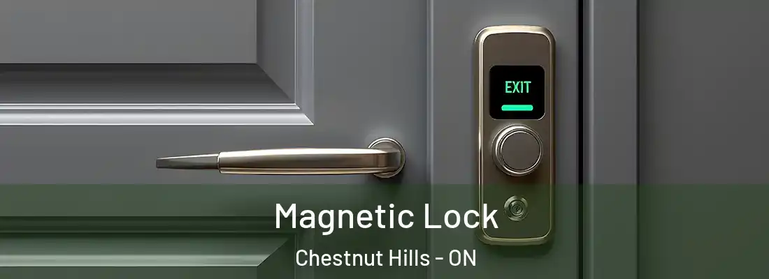  Magnetic Lock Chestnut Hills - ON