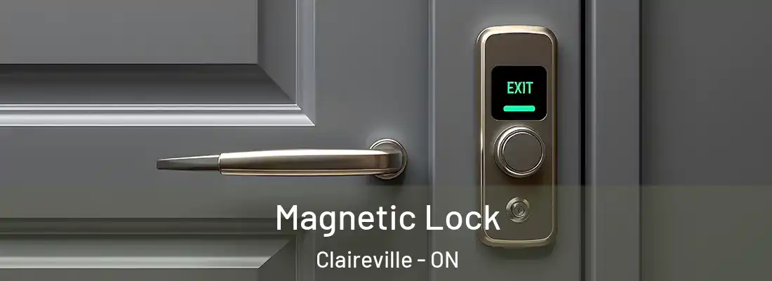  Magnetic Lock Claireville - ON