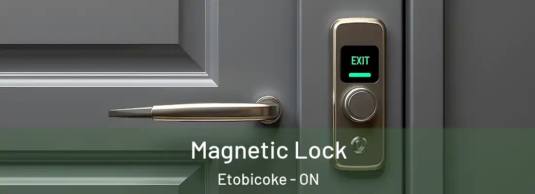  Magnetic Lock Etobicoke - ON