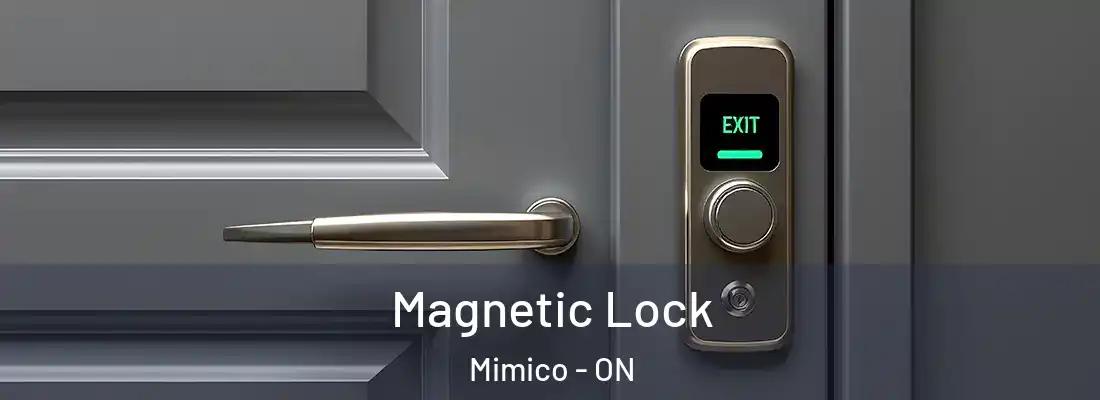  Magnetic Lock Mimico - ON