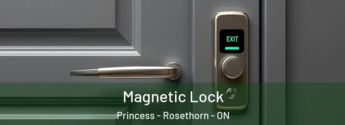  Magnetic Lock Princess - Rosethorn - ON