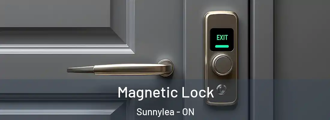  Magnetic Lock Sunnylea - ON