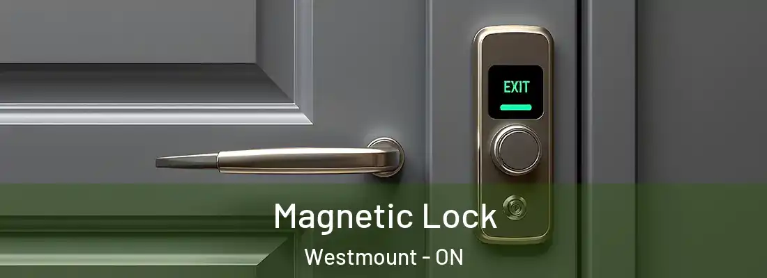  Magnetic Lock Westmount - ON