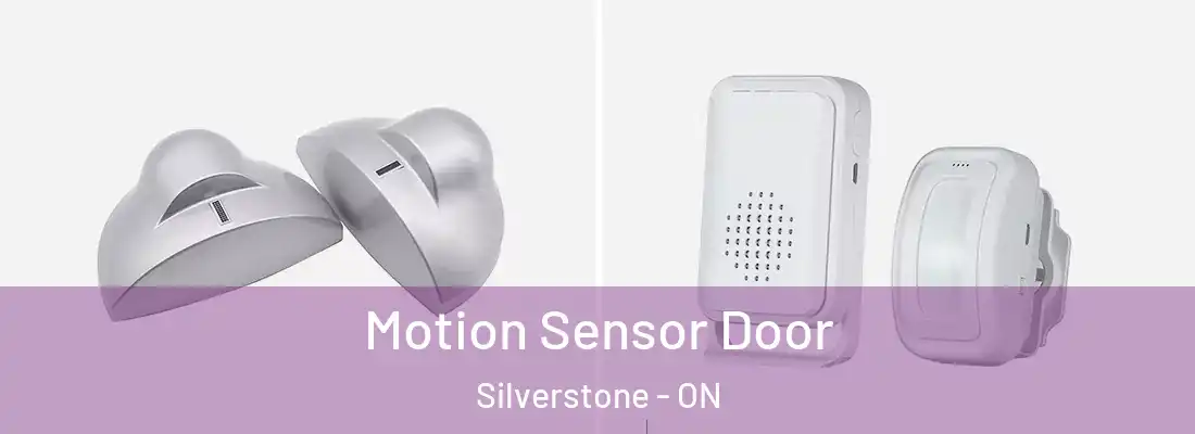  Motion Sensor Door Silverstone - ON