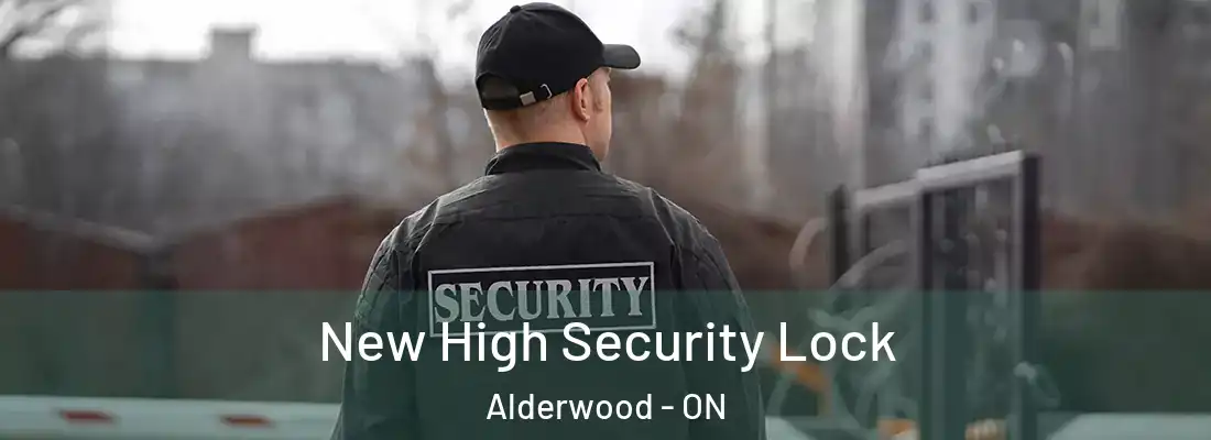  New High Security Lock Alderwood - ON
