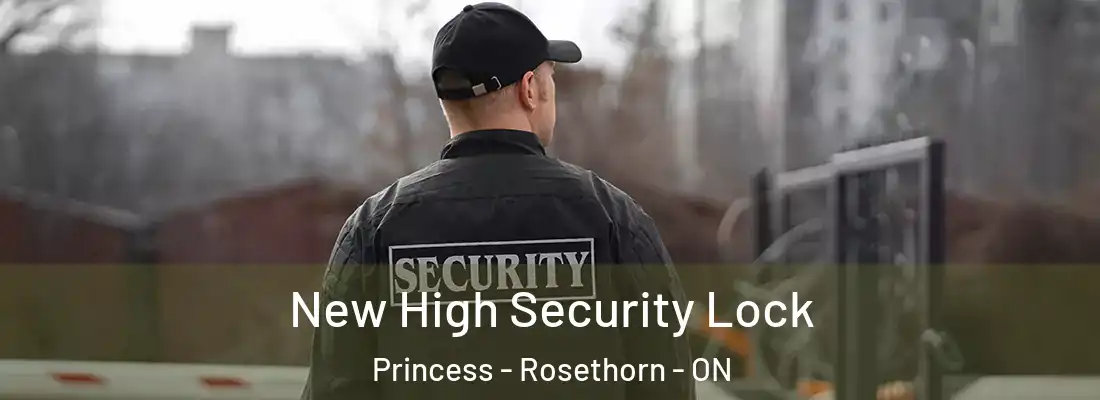  New High Security Lock Princess - Rosethorn - ON