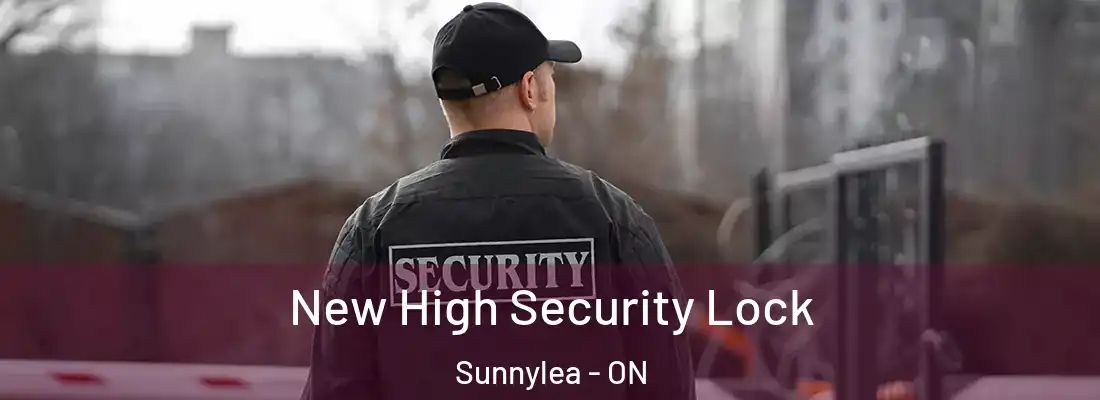  New High Security Lock Sunnylea - ON
