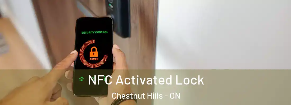  NFC Activated Lock Chestnut Hills - ON