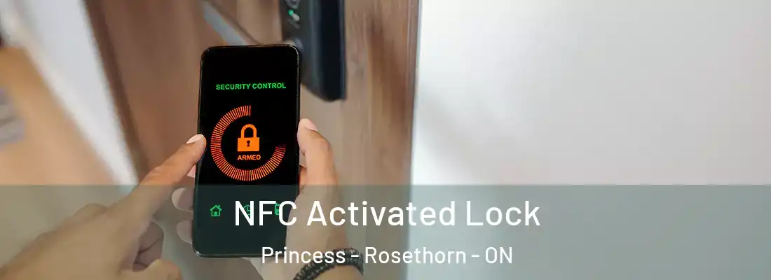  NFC Activated Lock Princess - Rosethorn - ON