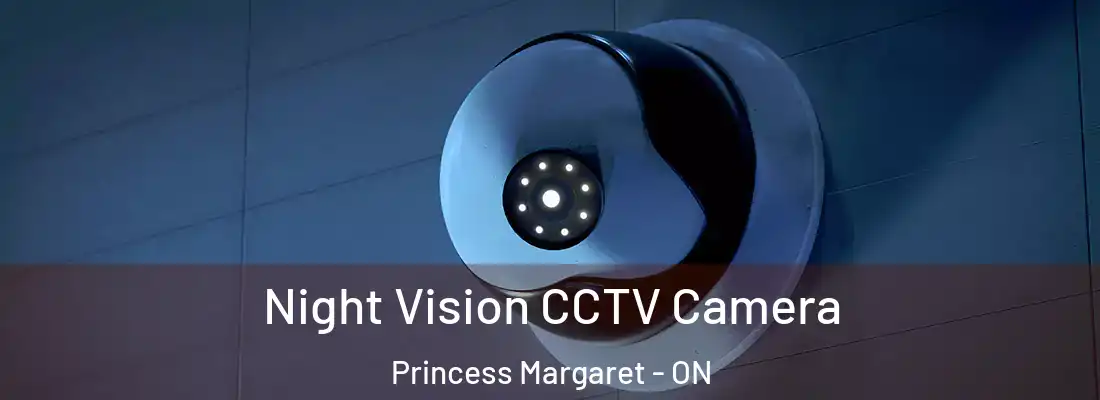  Night Vision CCTV Camera Princess Margaret - ON