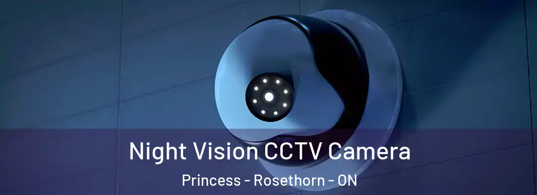  Night Vision CCTV Camera Princess - Rosethorn - ON