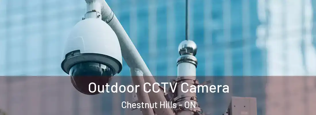  Outdoor CCTV Camera Chestnut Hills - ON