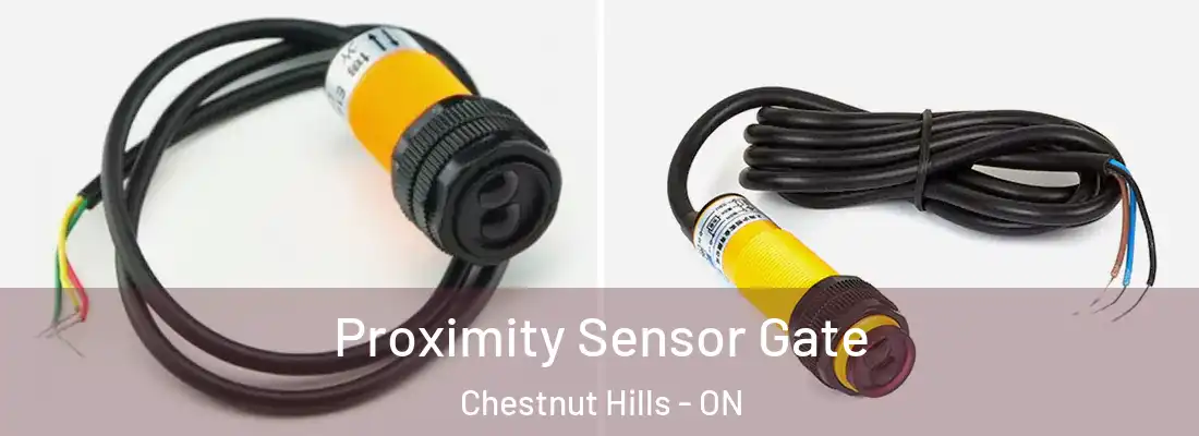  Proximity Sensor Gate Chestnut Hills - ON