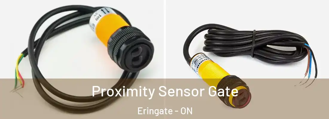  Proximity Sensor Gate Eringate - ON