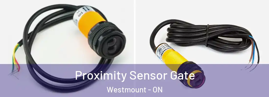  Proximity Sensor Gate Westmount - ON
