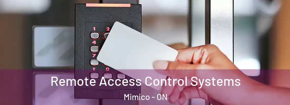  Remote Access Control Systems Mimico - ON