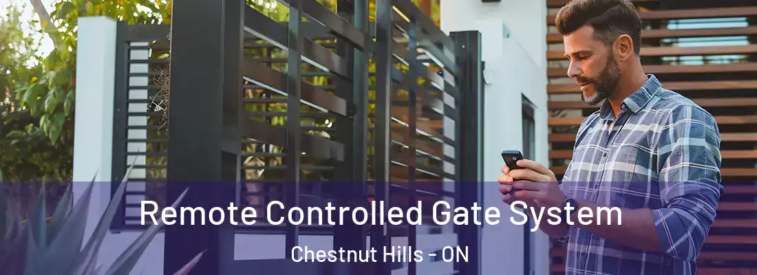  Remote Controlled Gate System Chestnut Hills - ON