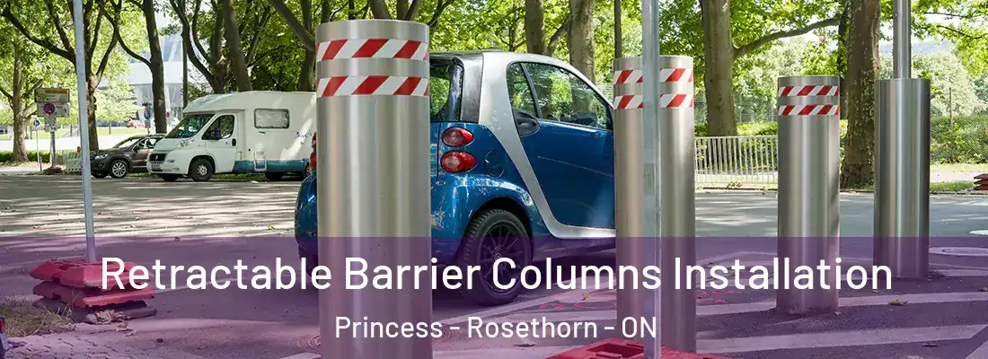  Retractable Barrier Columns Installation Princess - Rosethorn - ON