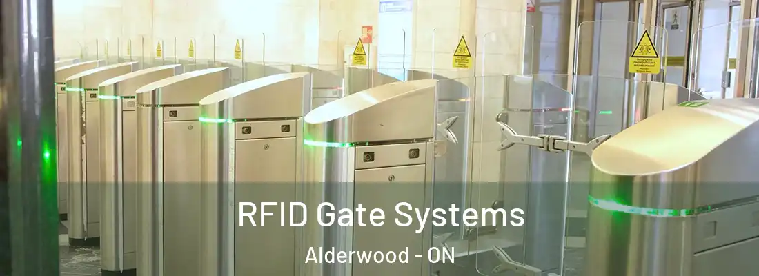  RFID Gate Systems Alderwood - ON