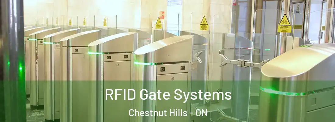  RFID Gate Systems Chestnut Hills - ON