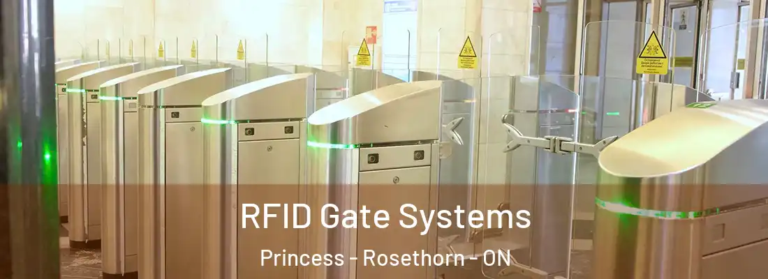  RFID Gate Systems Princess - Rosethorn - ON