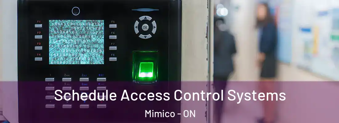  Schedule Access Control Systems Mimico - ON