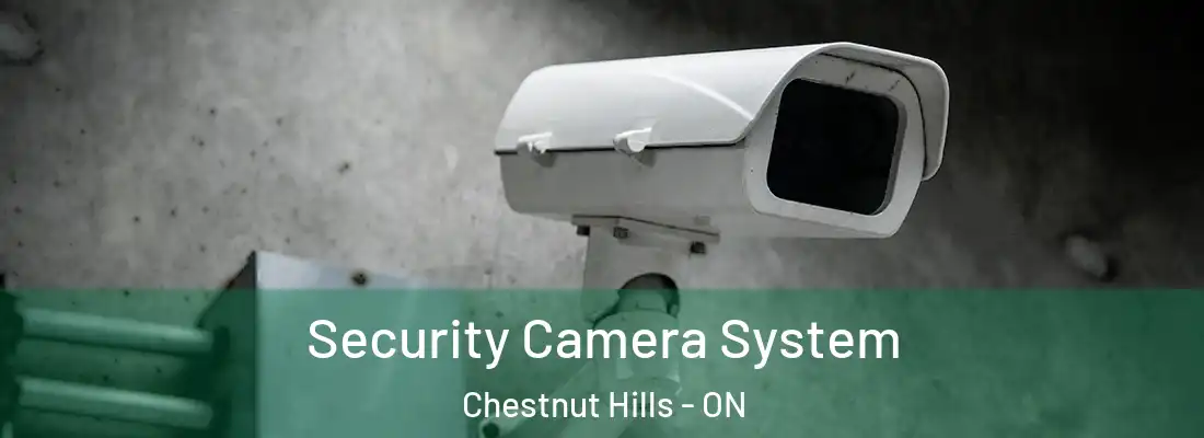  Security Camera System Chestnut Hills - ON