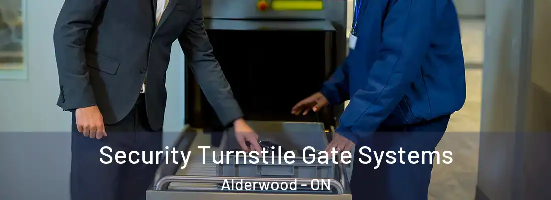  Security Turnstile Gate Systems Alderwood - ON