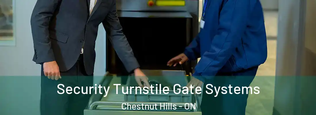  Security Turnstile Gate Systems Chestnut Hills - ON