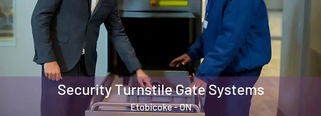  Security Turnstile Gate Systems Etobicoke - ON
