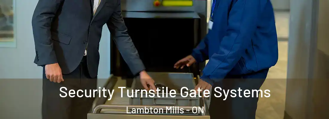  Security Turnstile Gate Systems Lambton Mills - ON